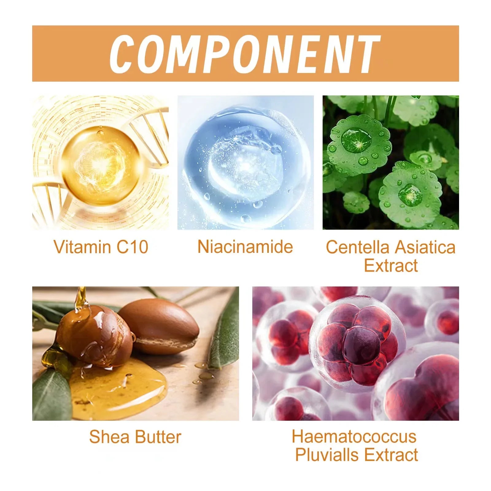 Vitamin C Face Serum – Wrinkle Remover & Anti-Aging